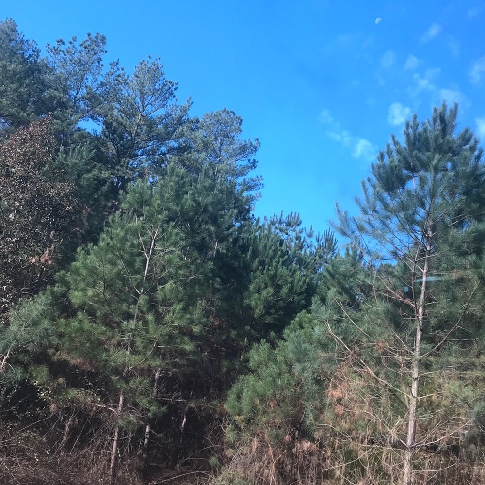 Meet your Posher, Jared